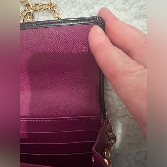 Louis Vuitton epi plum color wallet with chain - Picture 4 of 14